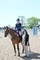 Lola Thulborn Jumps to First Place in the Inaugural Blue Chip Pony Newcomers Second Round of 2024 at Arena UK